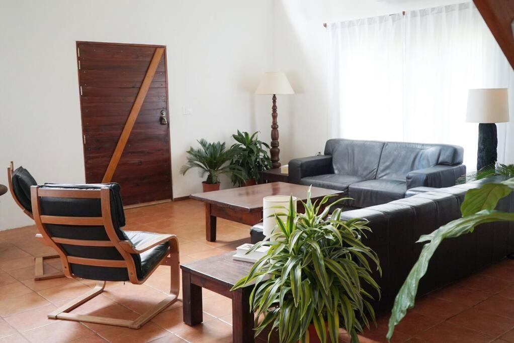 Vila Casa Moes Cahuita Exteriér fotografie