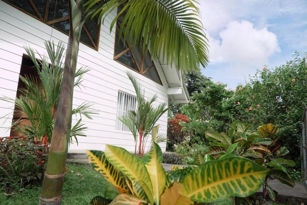 Vila Casa Moes Cahuita Exteriér fotografie