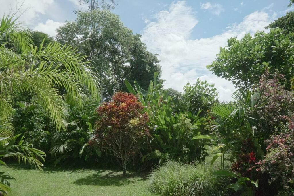 Vila Casa Moes Cahuita Exteriér fotografie